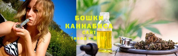 ГАЛЛЮЦИНОГЕННЫЕ ГРИБЫ Балабаново