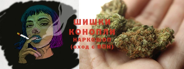 ГАЛЛЮЦИНОГЕННЫЕ ГРИБЫ Балабаново