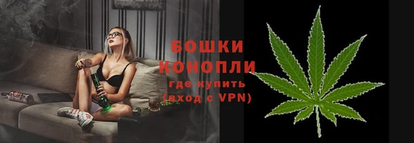 ГАЛЛЮЦИНОГЕННЫЕ ГРИБЫ Балабаново