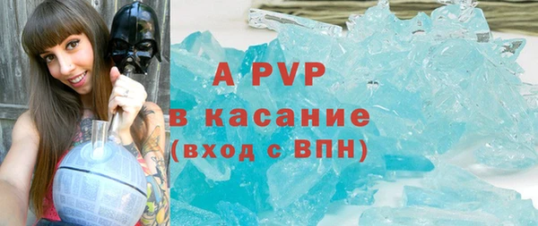 ГАЛЛЮЦИНОГЕННЫЕ ГРИБЫ Балабаново