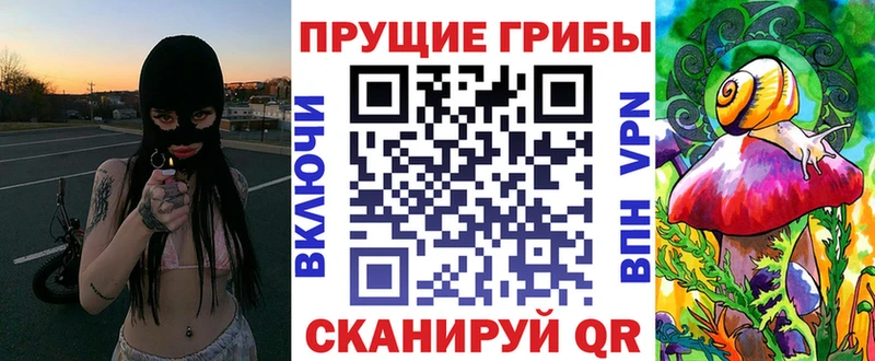 закладка  Унеча  Галлюциногенные грибы Magic Shrooms 