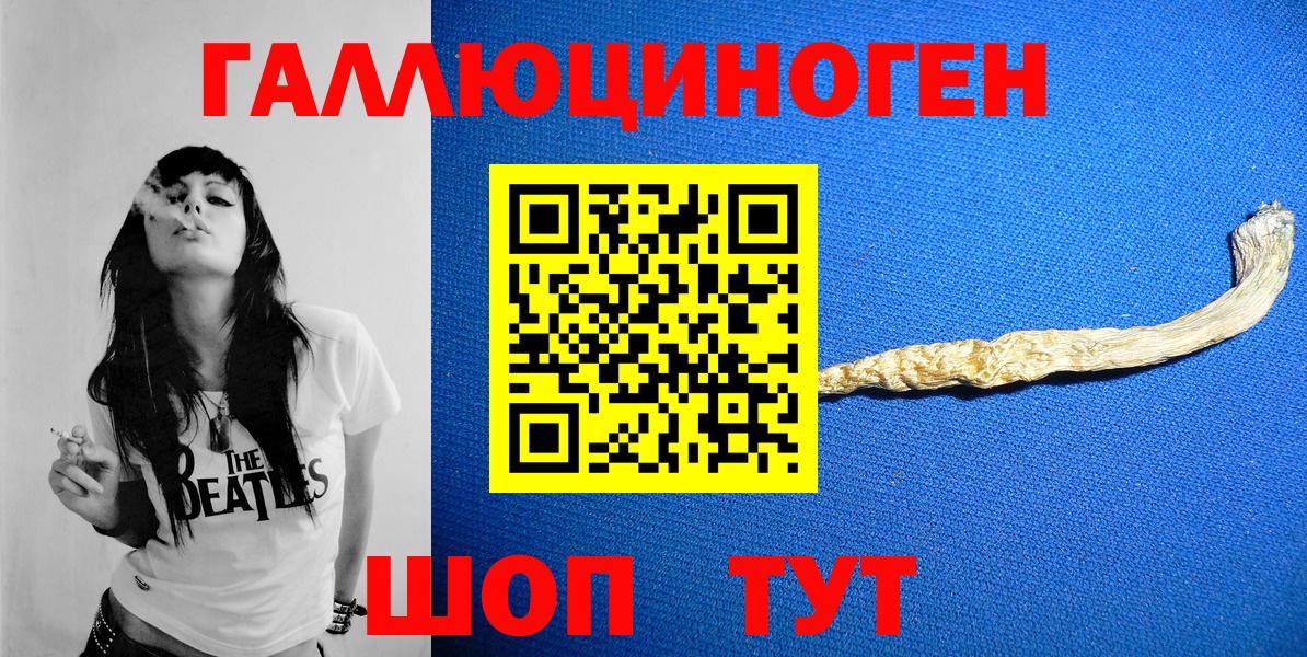 Галлюциногенные грибы Psilocybine cubensis Унеча