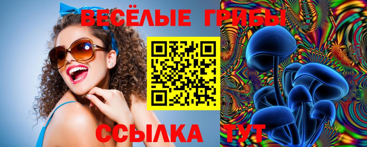 Галлюциногенные грибы MAGIC MUSHROOMS  Псилоцибиновые грибы GOLDEN TEACHER  Унеча  купить  цена  Вход с VPN 